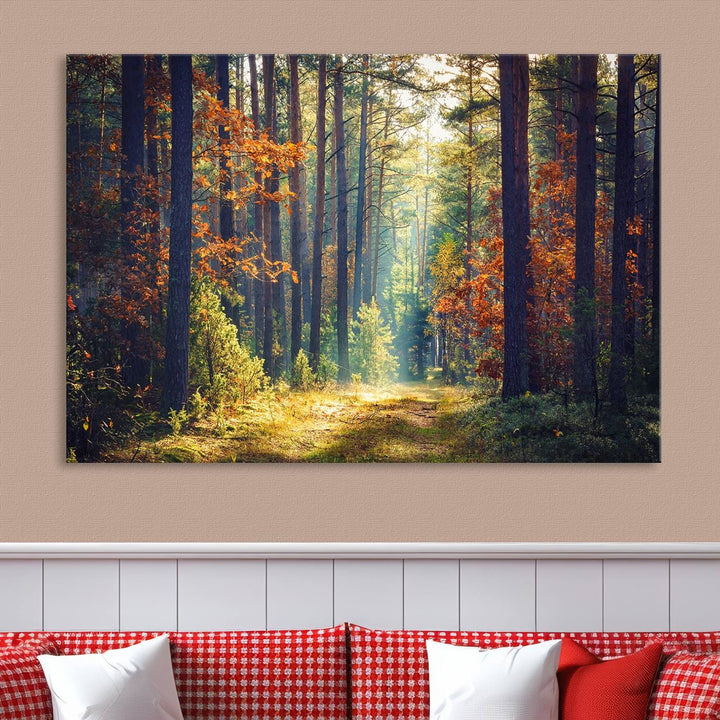 Beautiful Forest Landscape Picture Canvas Print Large Wall Art Home Gift