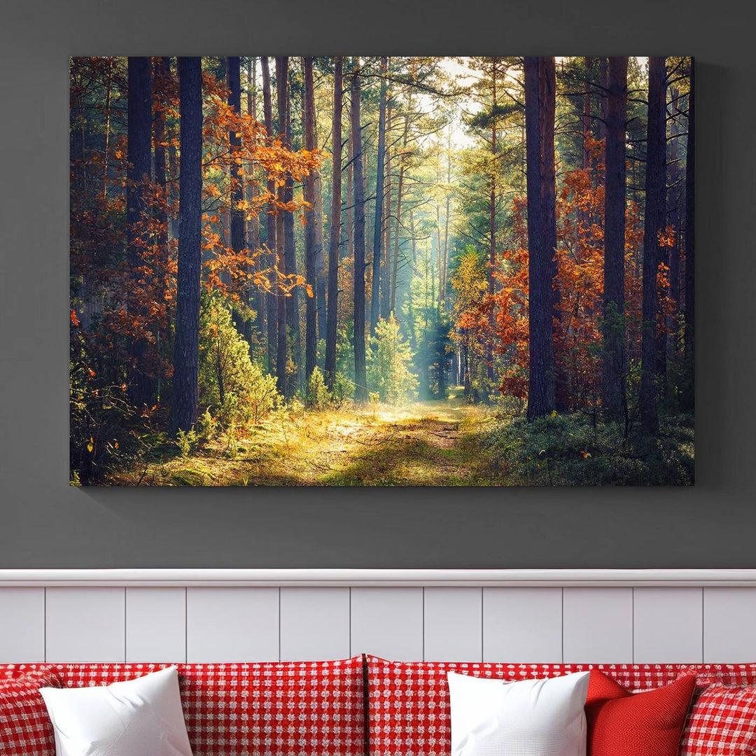 Beautiful Forest Landscape Picture Canvas Print Large Wall Art Home Gift