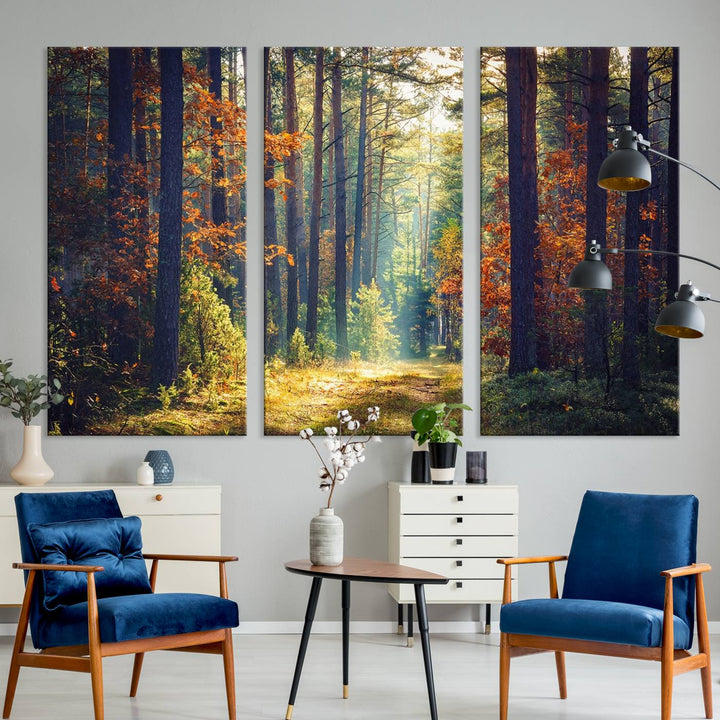 Beautiful Forest Landscape Picture Canvas Print Large Wall Art Home Gift