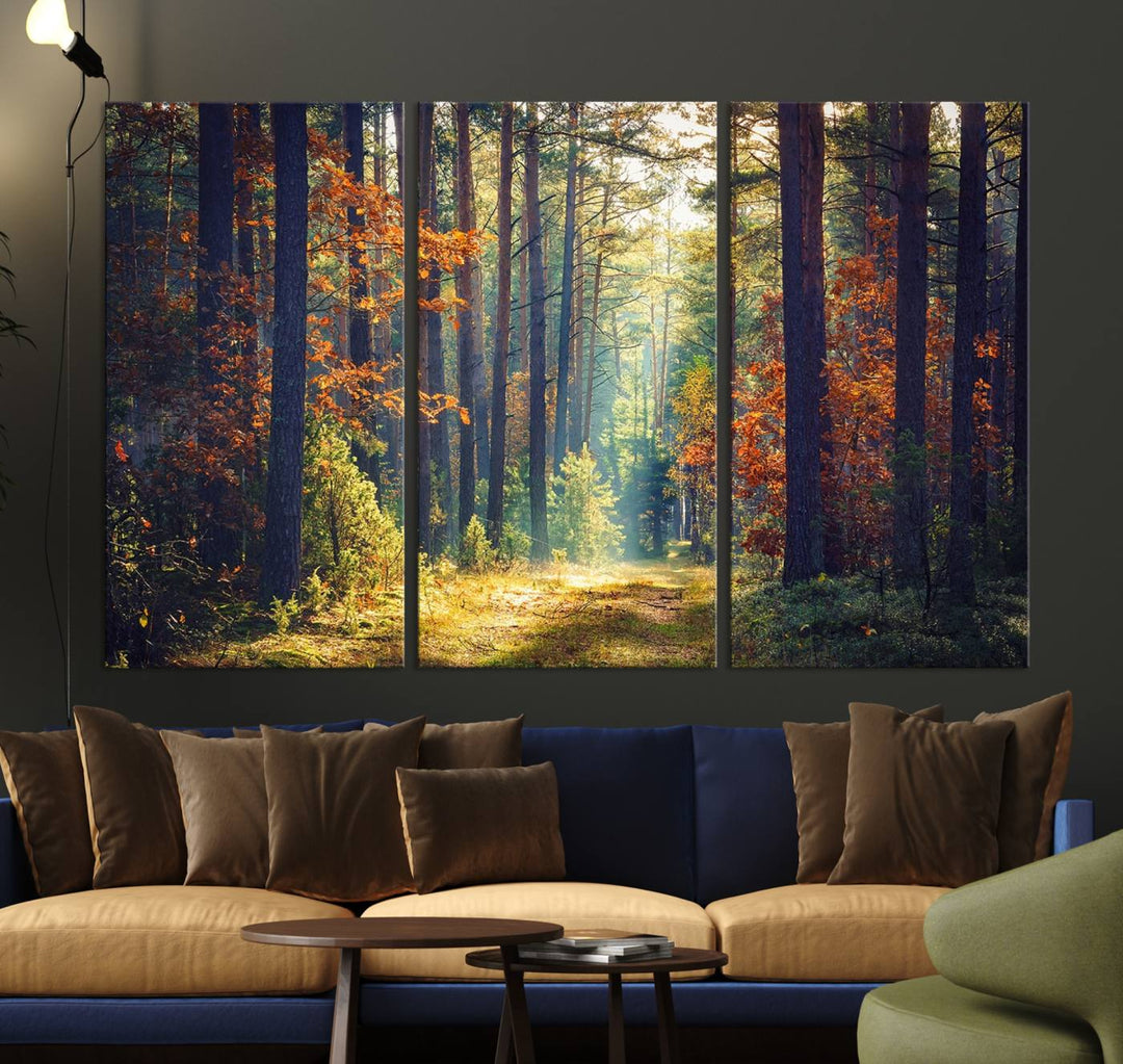 Beautiful Forest Landscape Picture Canvas Print Large Wall Art Home Gift