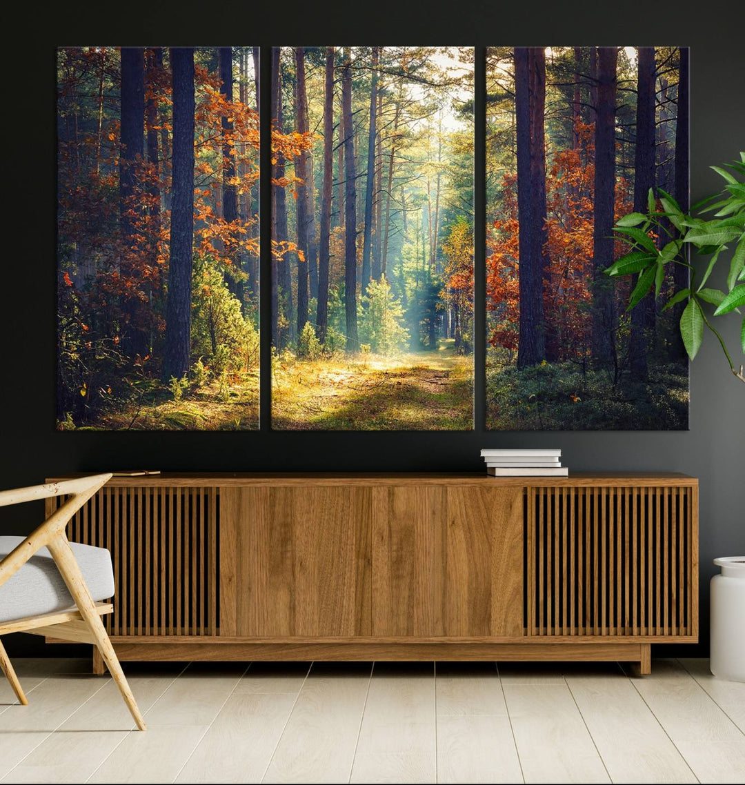 Beautiful Forest Landscape Picture Canvas Print Large Wall Art Home Gift