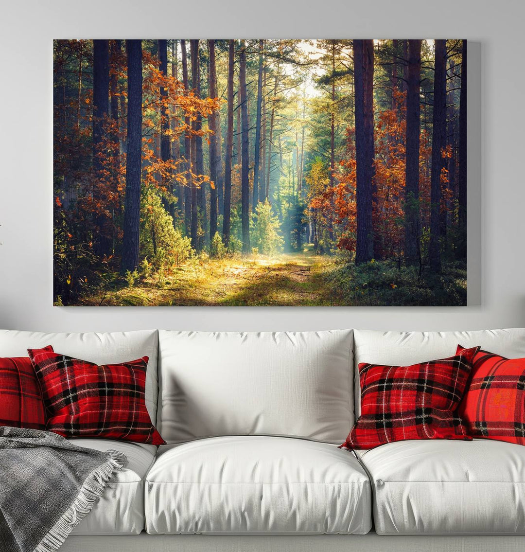 Beautiful Forest Landscape Picture Canvas Print Large Wall Art Home Gift