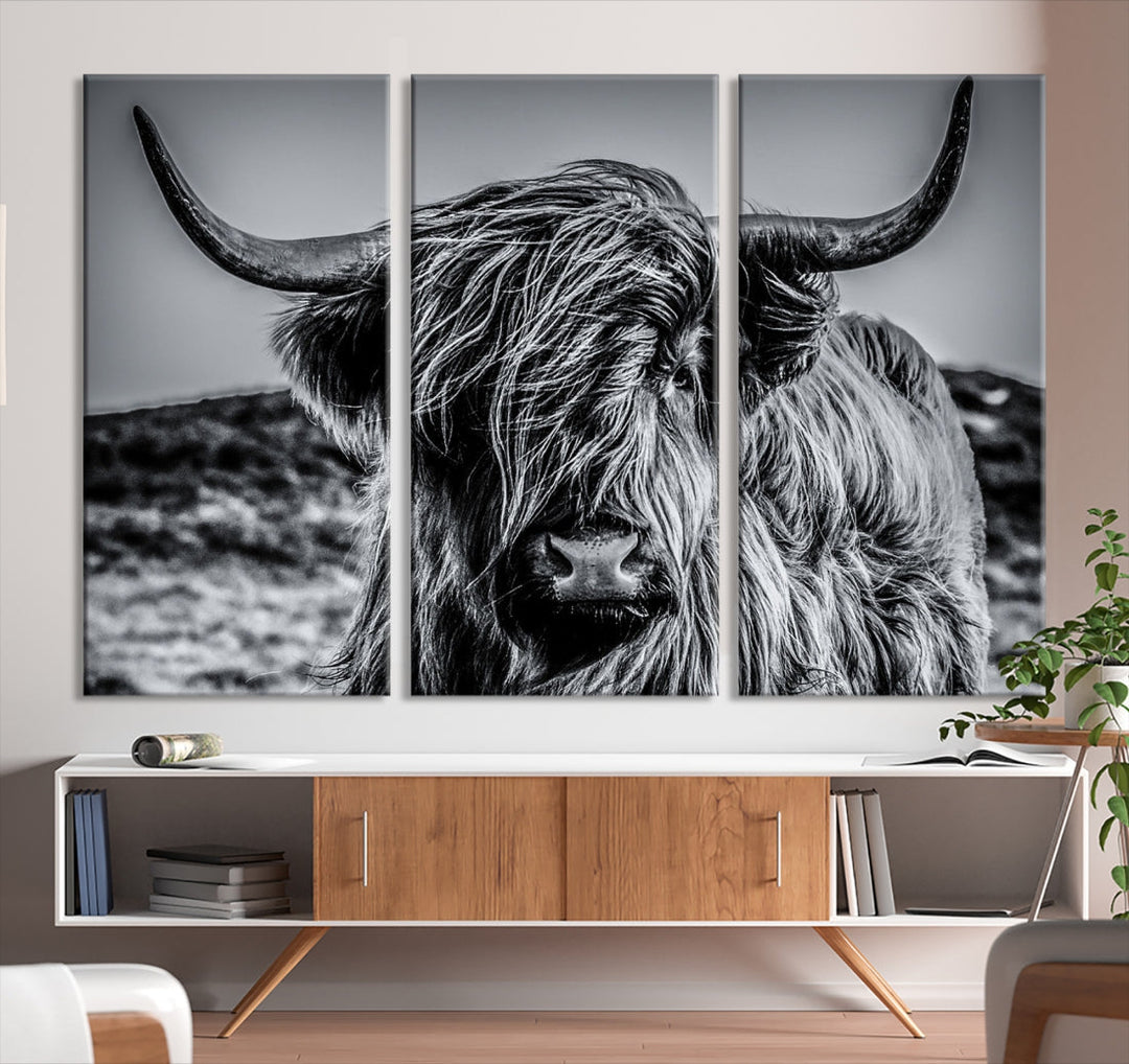 Beautiful Highland Cow Canvas Wall Art Cattle Art Print Black and White Animal Art