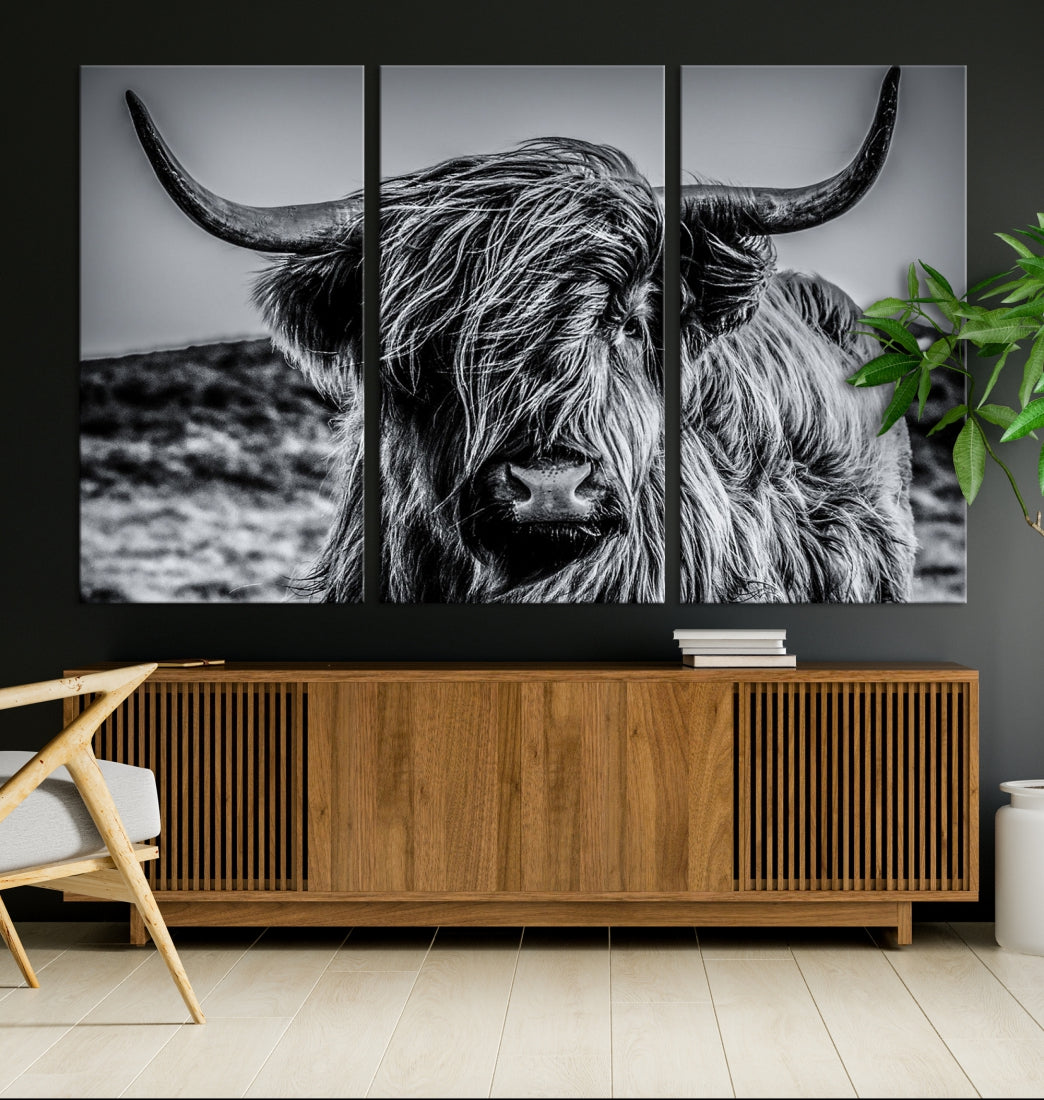 Beautiful Highland Cow Canvas Wall Art Cattle Art Print Black and White Animal Art