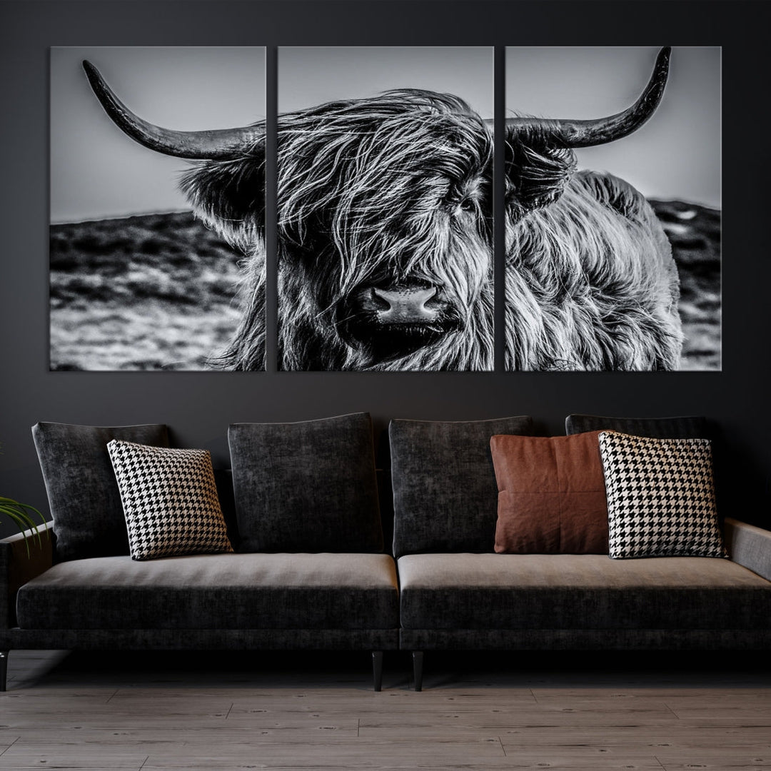 Beautiful Highland Cow Canvas Wall Art Cattle Art Print Black and White Animal Art