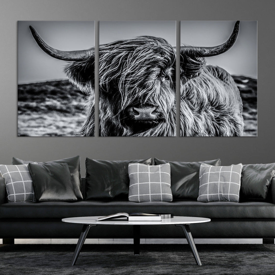 Beautiful Highland Cow Canvas Wall Art Cattle Art Print Black and White Animal Art