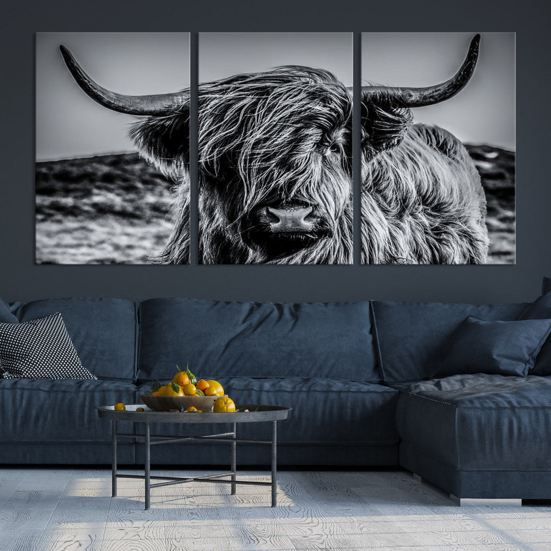 Beautiful Highland Cow Canvas Wall Art Cattle Art Print Black and White Animal Art