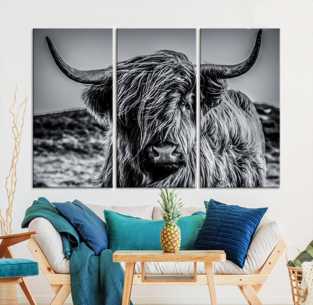 Beautiful Highland Cow Canvas Wall Art Cattle Art Print Black and White Animal Art