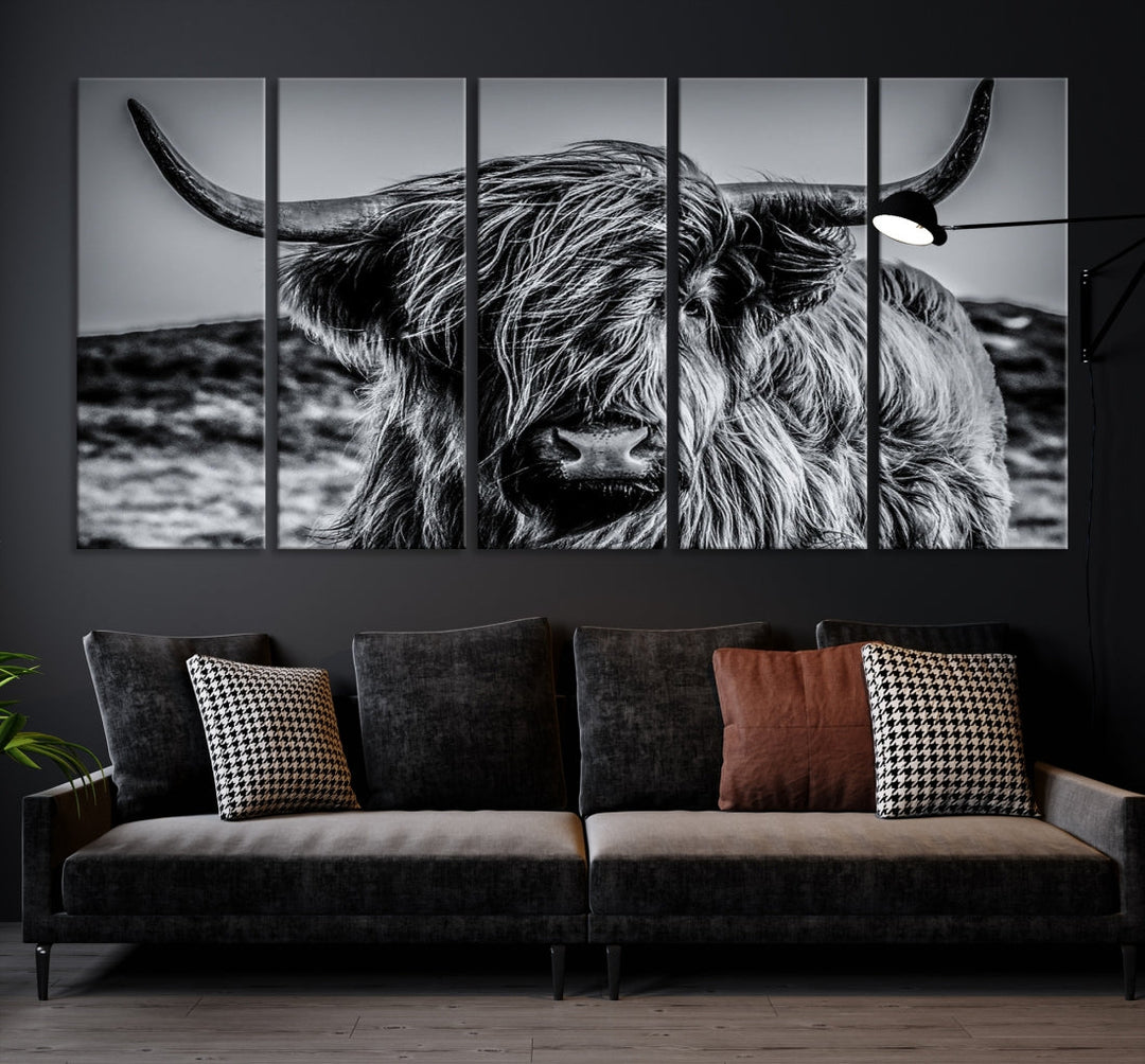 Beautiful Highland Cow Canvas Wall Art Cattle Art Print Black and White Animal Art