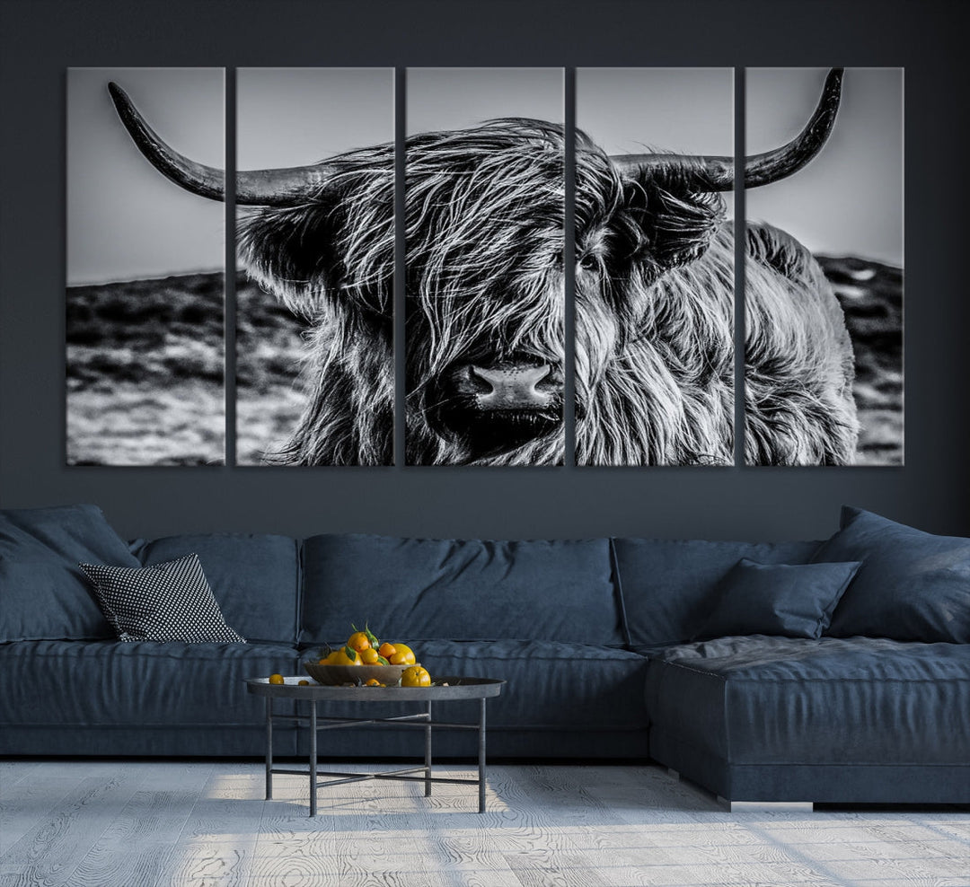 Beautiful Highland Cow Canvas Wall Art Cattle Art Print Black and White Animal Art