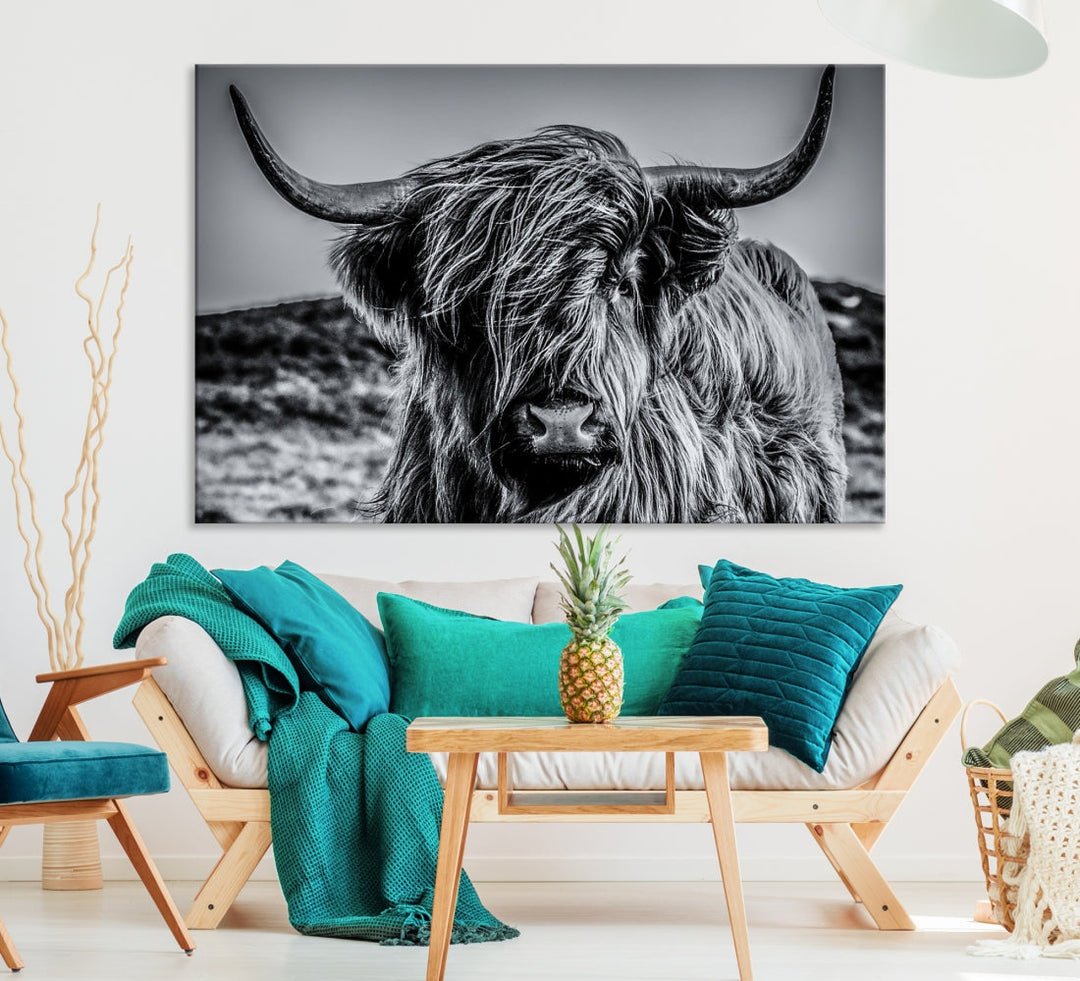 Beautiful Highland Cow Canvas Wall Art Cattle Art Print Black and White Animal Art