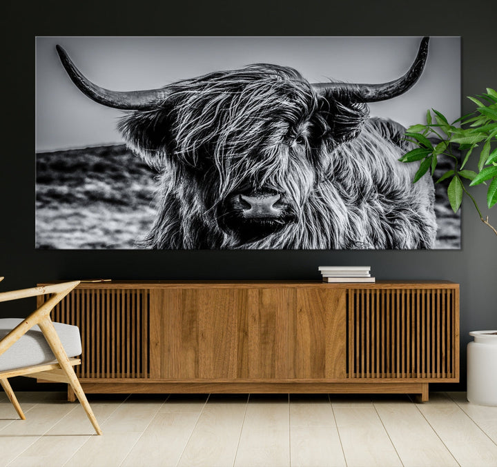 Beautiful Highland Cow Canvas Wall Art Cattle Art Print Black and White Animal Art