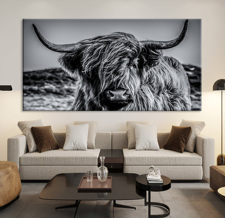 Beautiful Highland Cow Canvas Wall Art Cattle Art Print Black and White Animal Art