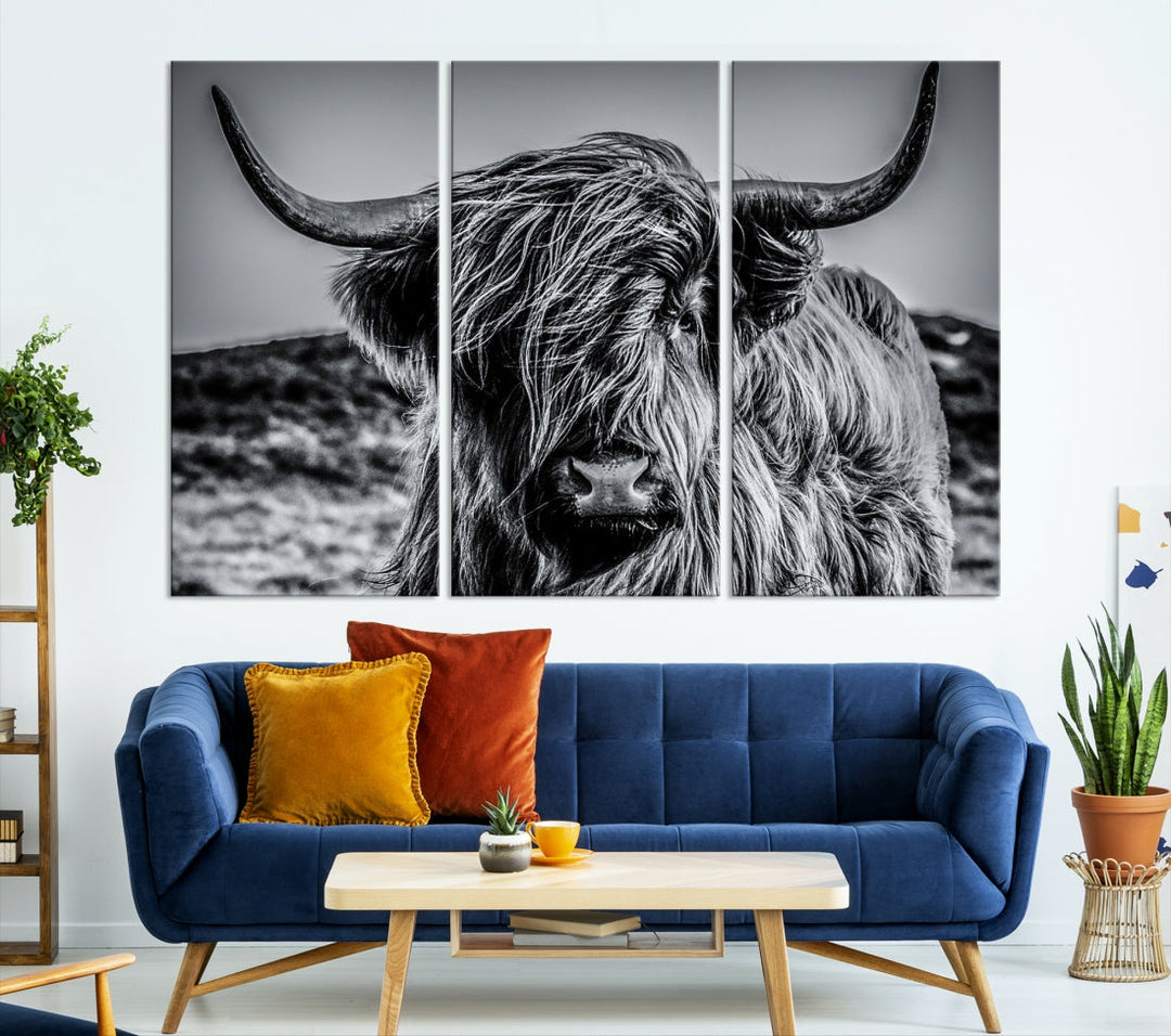 Beautiful Highland Cow Canvas Wall Art Cattle Art Print Black and White Animal Art