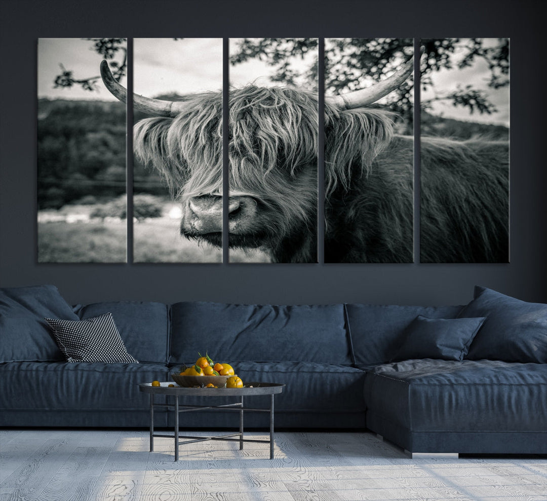 Beautiful Highland Cow Wall Art Large Canvas Print Black and White Wall Decor