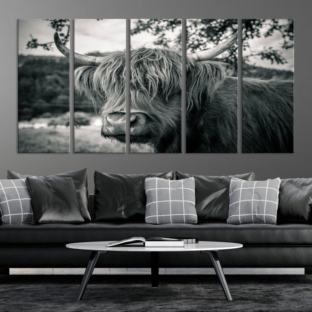 Beautiful Highland Cow Wall Art Large Canvas Print Black and White Wall Decor