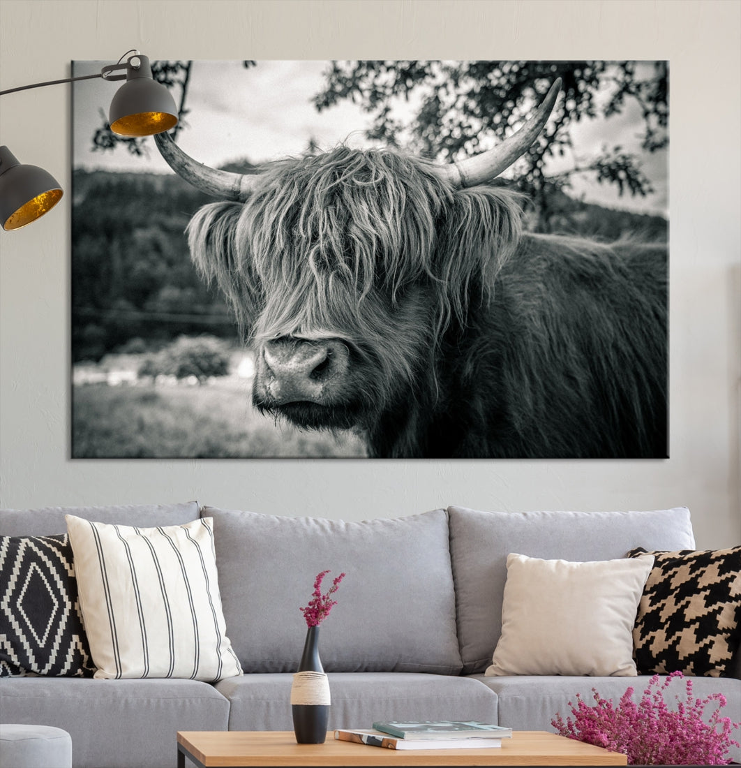 Beautiful Highland Cow Wall Art Large Canvas Print Black and White Wall Decor