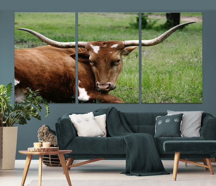 Big Horn Cow Animal Large Wall Art Canvas Print