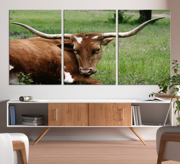 Big Horn Cow Animal Large Wall Art Canvas Print