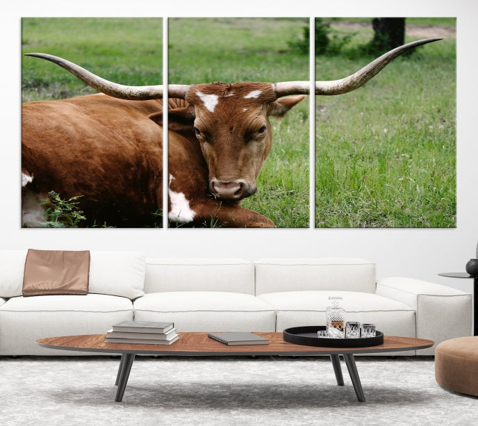 Big Horn Cow Animal Large Wall Art Canvas Print