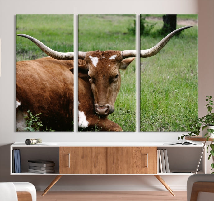 Big Horn Cow Animal Large Wall Art Canvas Print