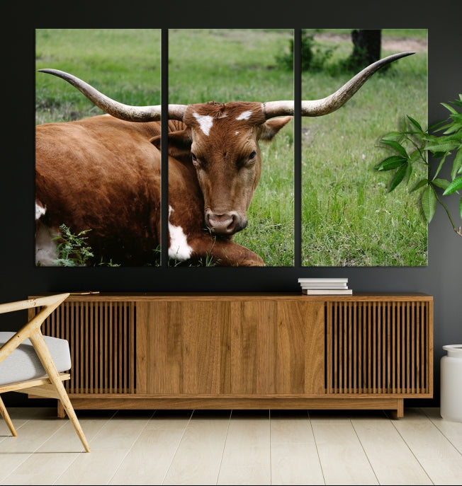 Big Horn Cow Animal Large Wall Art Canvas Print