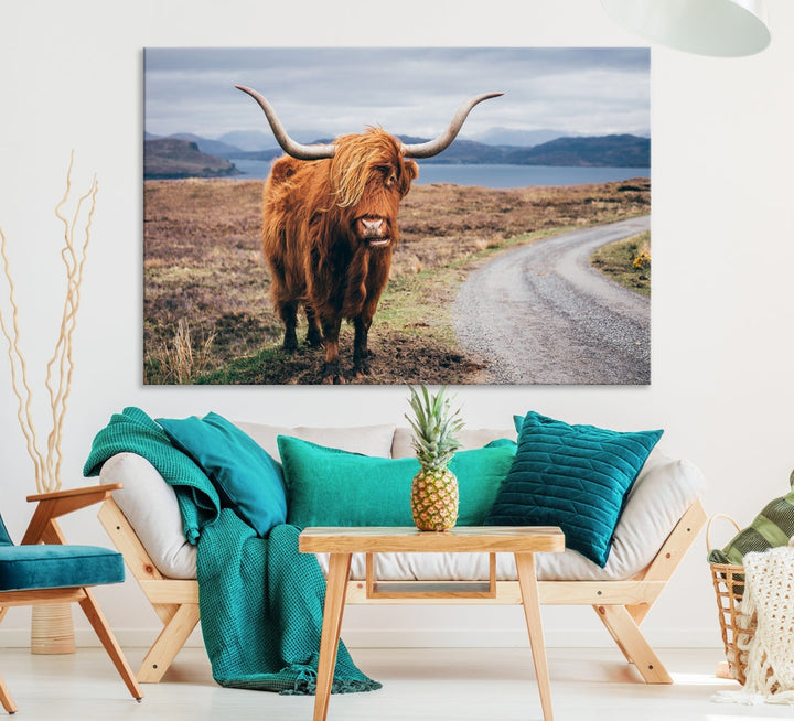 Big Horn Highland Cow Canvas Wall Art Print Animal Photograph Art Canvas