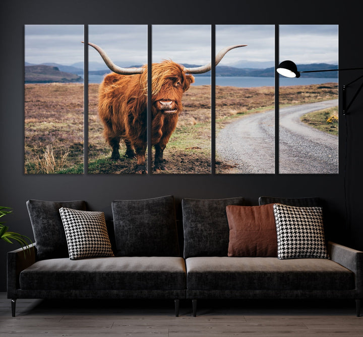 Big Horn Highland Cow Canvas Wall Art Print Animal Photograph Art Canvas