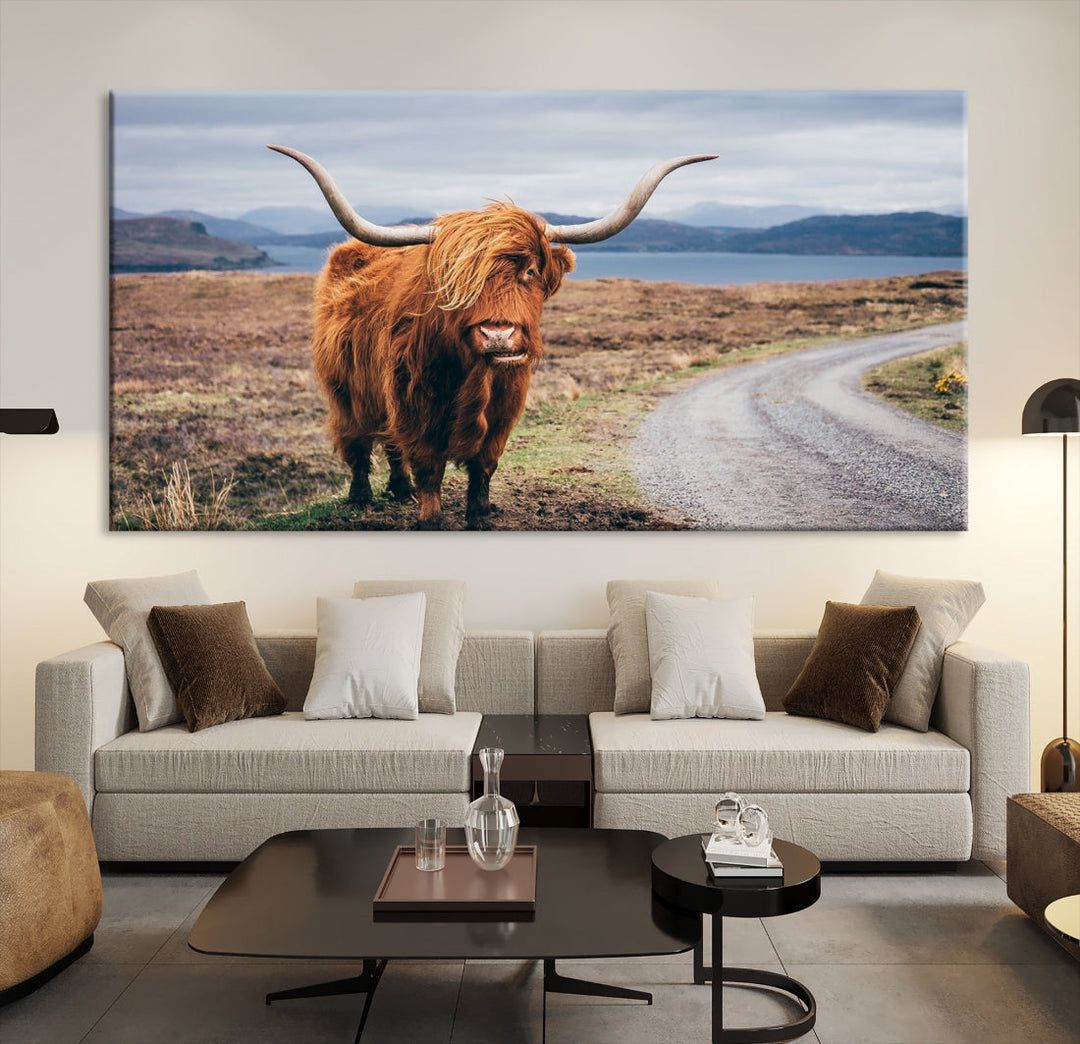 Big Horn Highland Cow Canvas Wall Art Print Animal Photograph Art Canvas