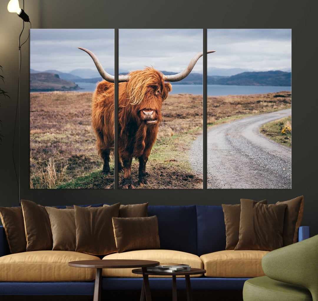 Big Horn Highland Cow Canvas Wall Art Print Animal Photograph Art Canvas