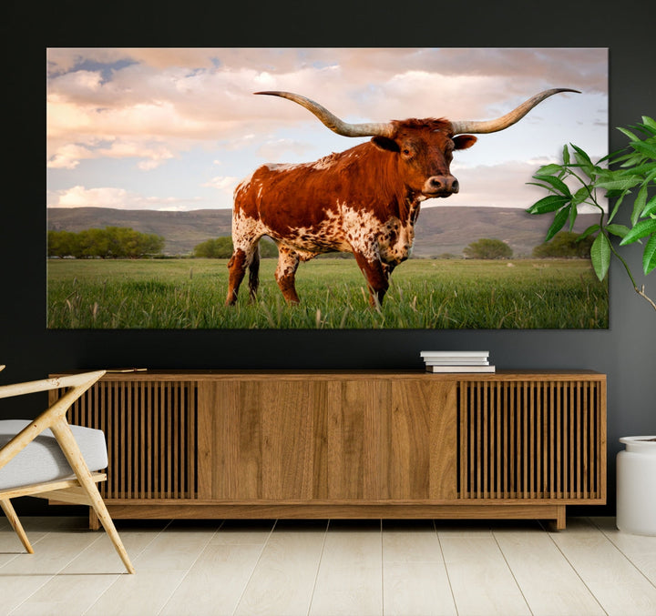 Big Horn Texas Cow Canvas Wall Art Print Animal Pictures on Original Cotton Canvas Framed