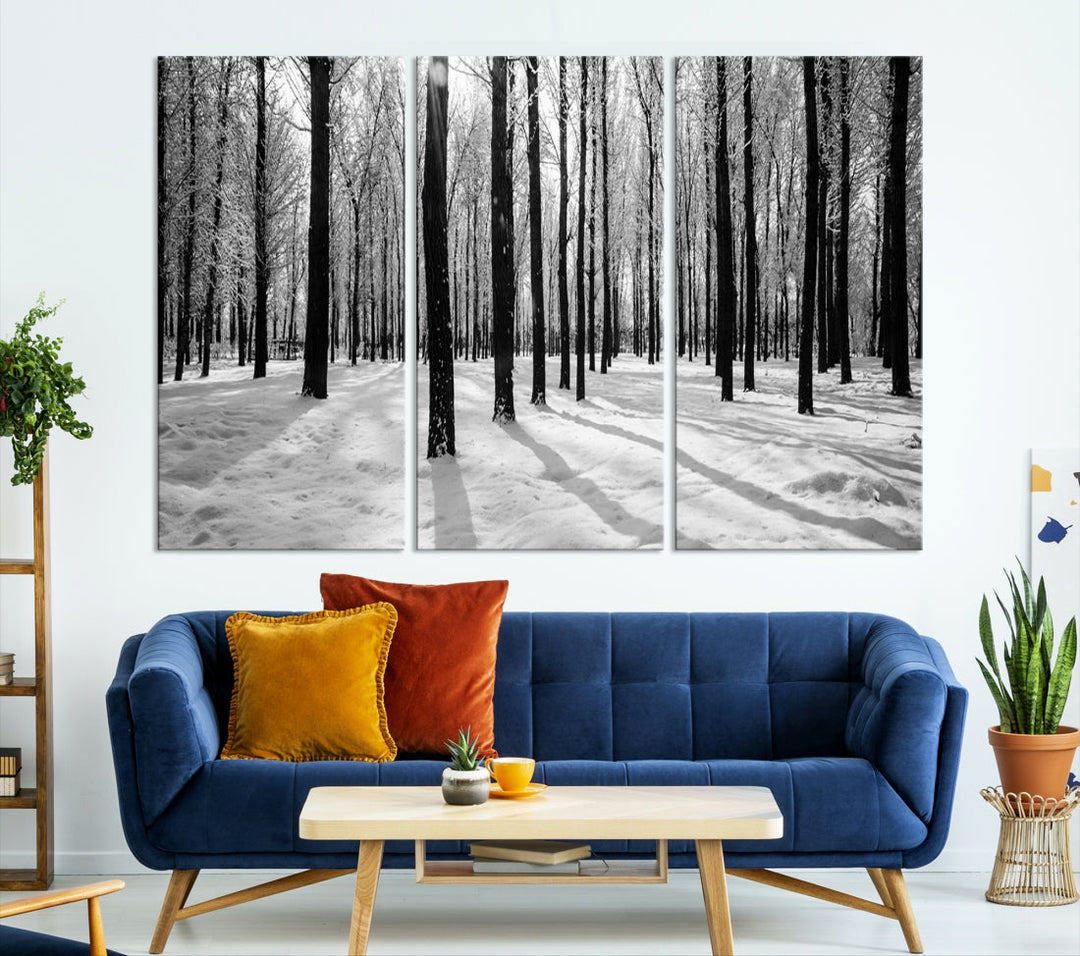 Birch Tree Forest Winter Landscape Large Wall Art Canvas Print