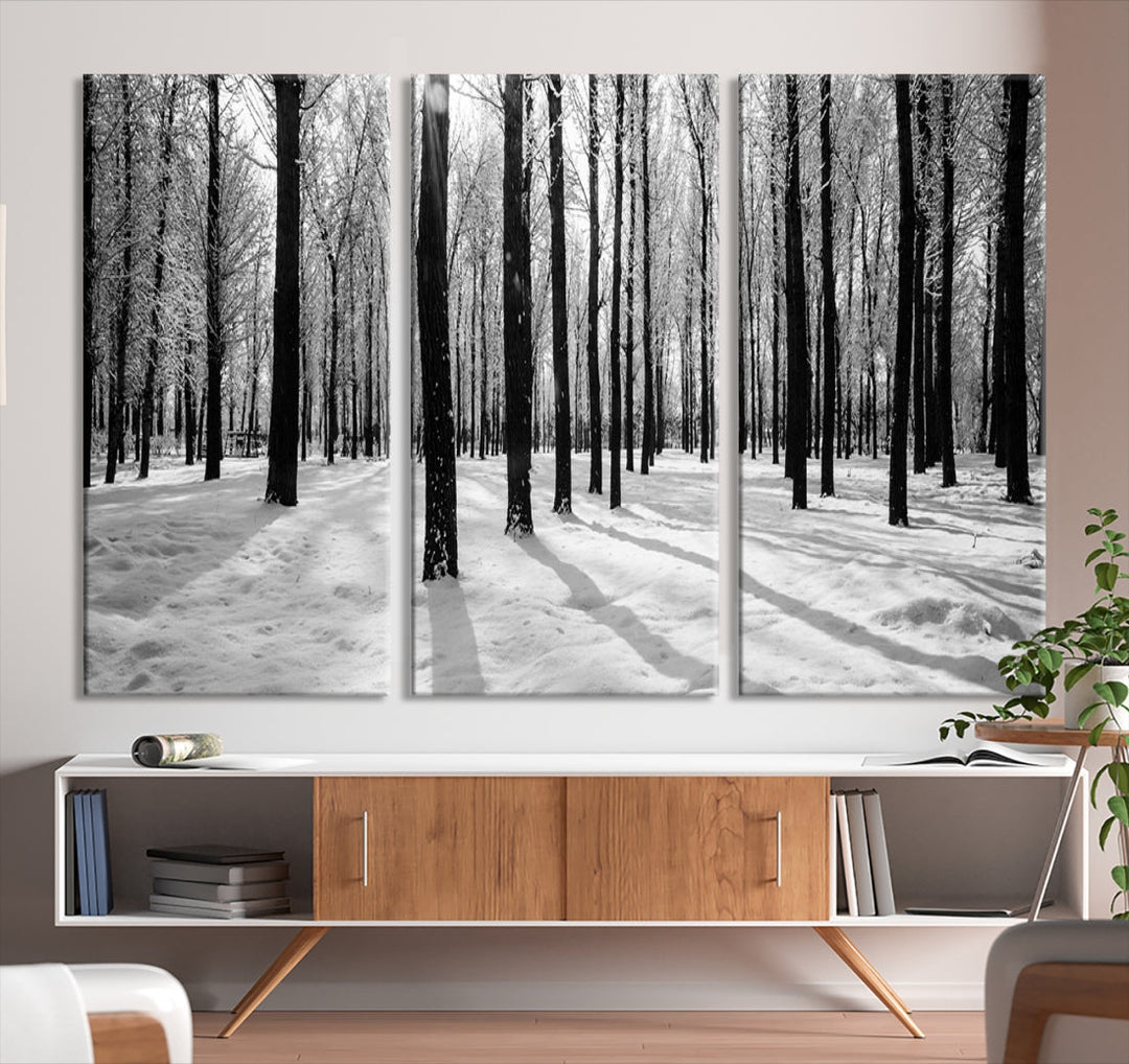 Birch Tree Forest Winter Landscape Large Wall Art Canvas Print