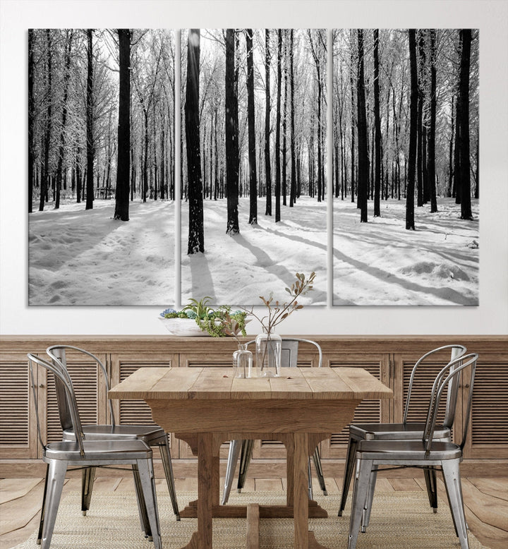 Birch Tree Forest Winter Landscape Large Wall Art Canvas Print