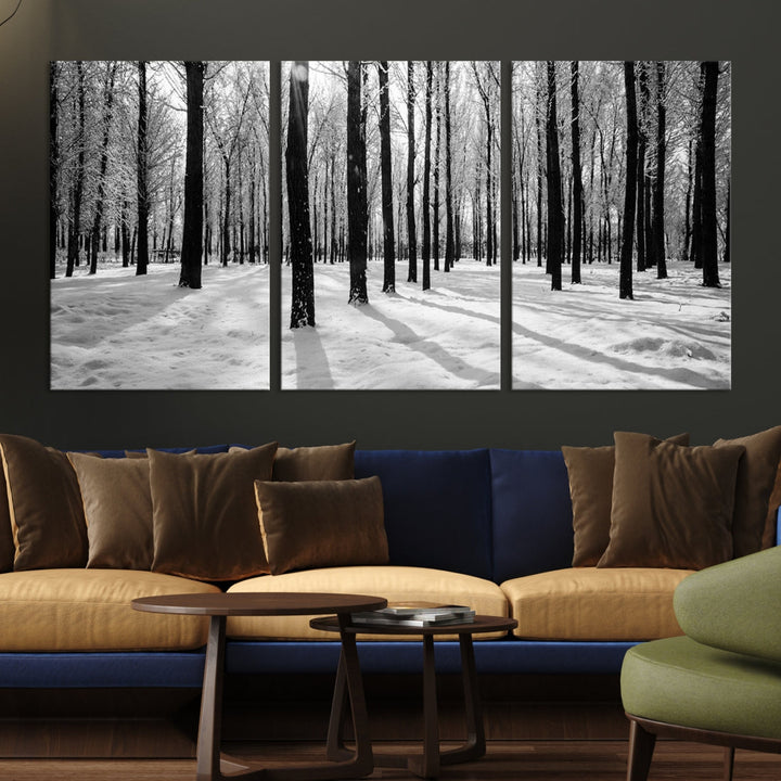 Birch Tree Forest Winter Landscape Large Wall Art Canvas Print