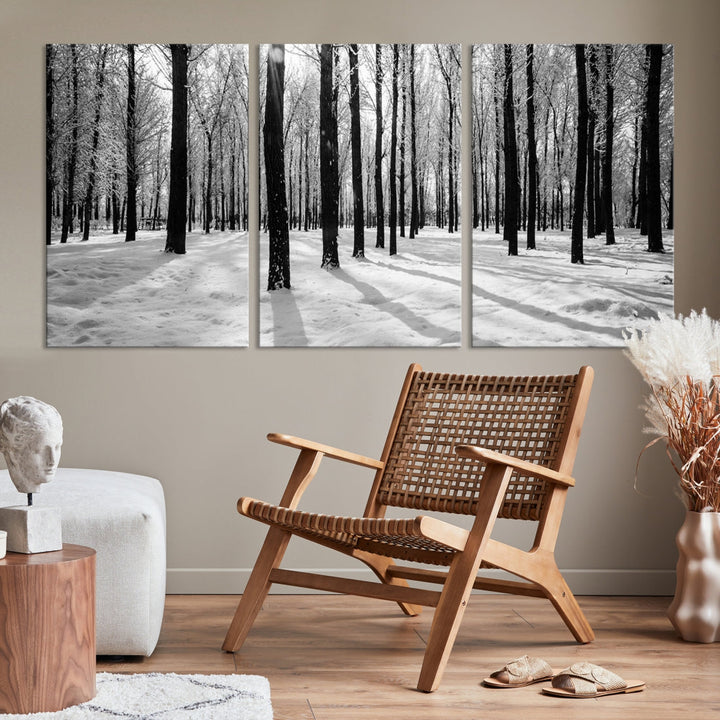 Birch Tree Forest Winter Landscape Large Wall Art Canvas Print