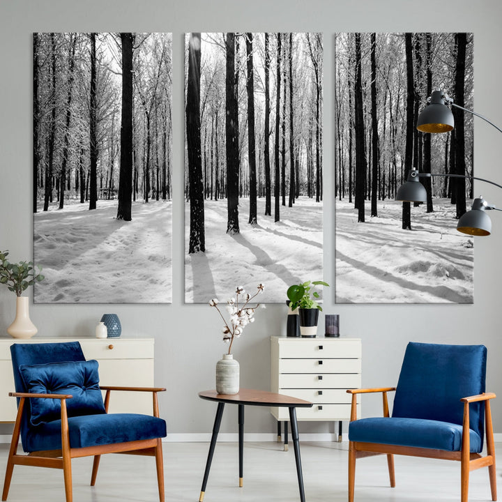 Birch Tree Forest Winter Landscape Large Wall Art Canvas Print