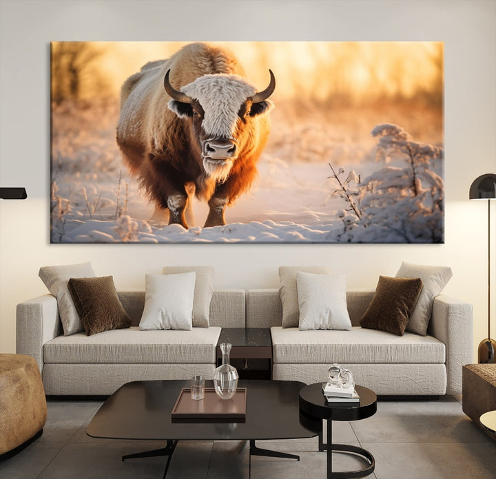 Bison at Sunrise Art Print Alaska Wildlife American Animal Canvas Wall Art