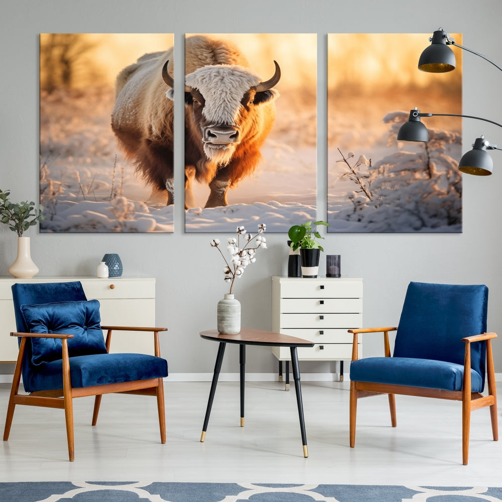 Bison at Sunrise Art Print Alaska Wildlife American Animal Canvas Wall Art