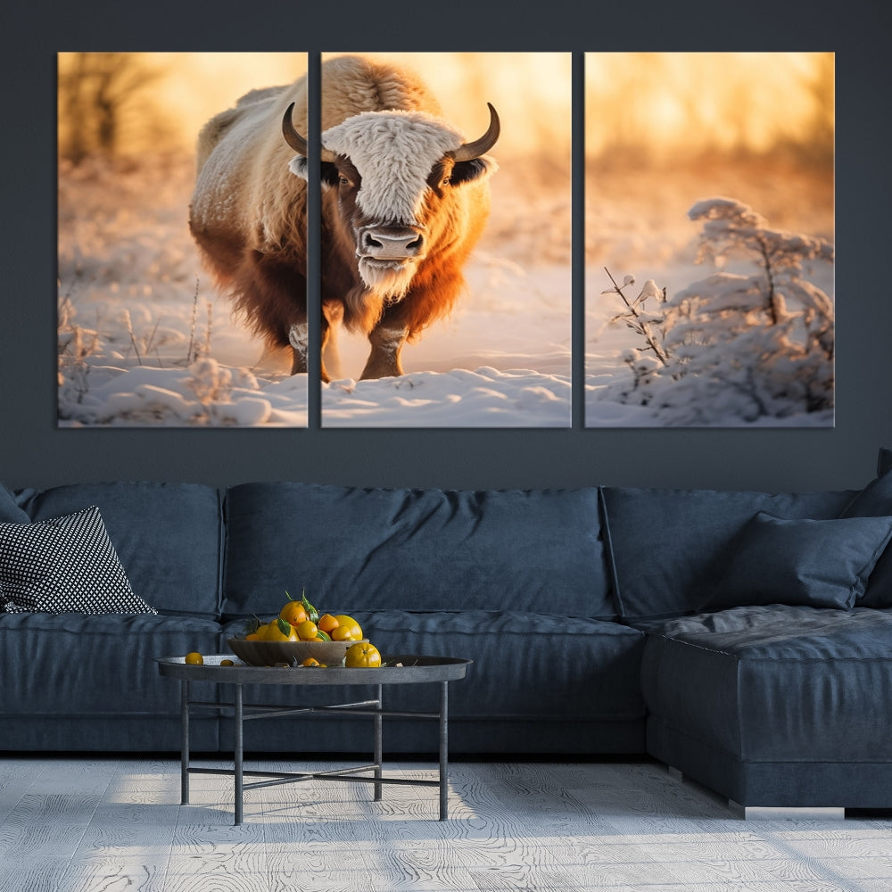 Bison at Sunrise Art Print Alaska Wildlife American Animal Canvas Wall Art