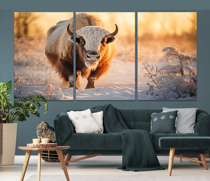 Bison at Sunrise Art Print Alaska Wildlife American Animal Canvas Wall Art