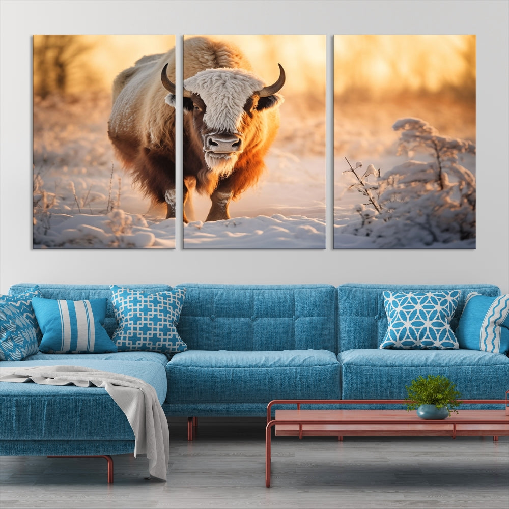 Bison at Sunrise Art Print Alaska Wildlife American Animal Canvas Wall Art