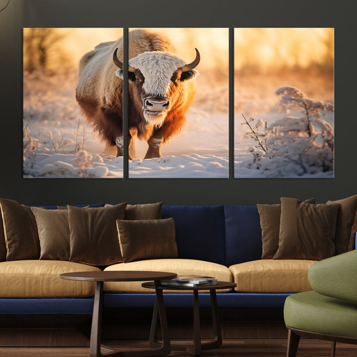 Bison at Sunrise Art Print Alaska Wildlife American Animal Canvas Wall Art