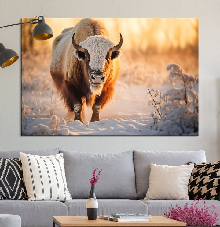 Bison at Sunrise Art Print Alaska Wildlife American Animal Canvas Wall Art