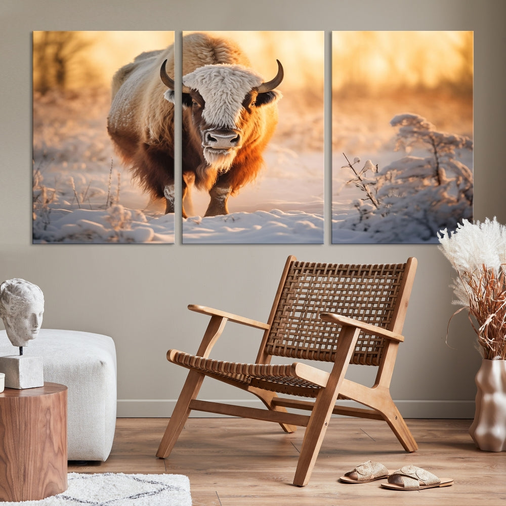 Bison at Sunrise Art Print Alaska Wildlife American Animal Canvas Wall Art