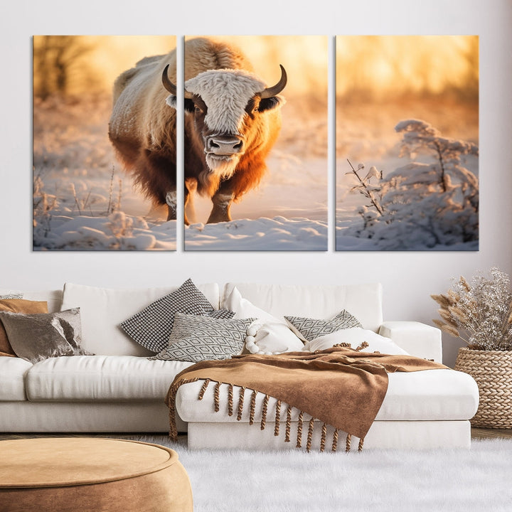 Bison at Sunrise Art Print Alaska Wildlife American Animal Canvas Wall Art