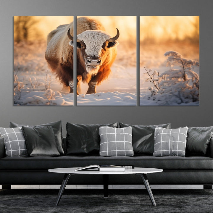 Bison at Sunrise Art Print Alaska Wildlife American Animal Canvas Wall Art