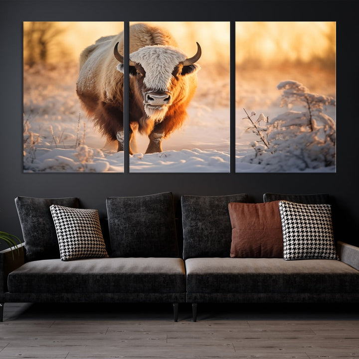 Bison at Sunrise Art Print Alaska Wildlife American Animal Canvas Wall Art