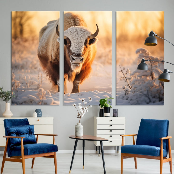 Bison at Sunrise Art Print Alaska Wildlife American Animal Canvas Wall Art