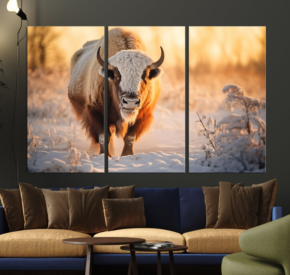 Bison at Sunrise Art Print Alaska Wildlife American Animal Canvas Wall Art